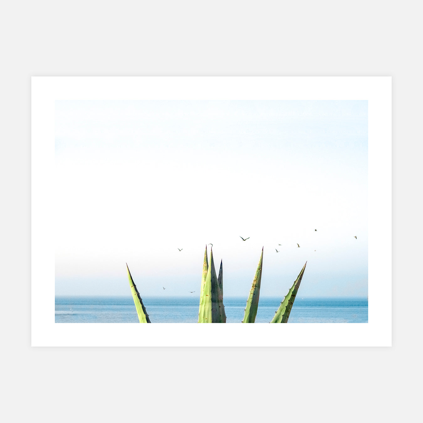 photographie-mer-affiche-art-deco-agave-oiseau-decoration-murale