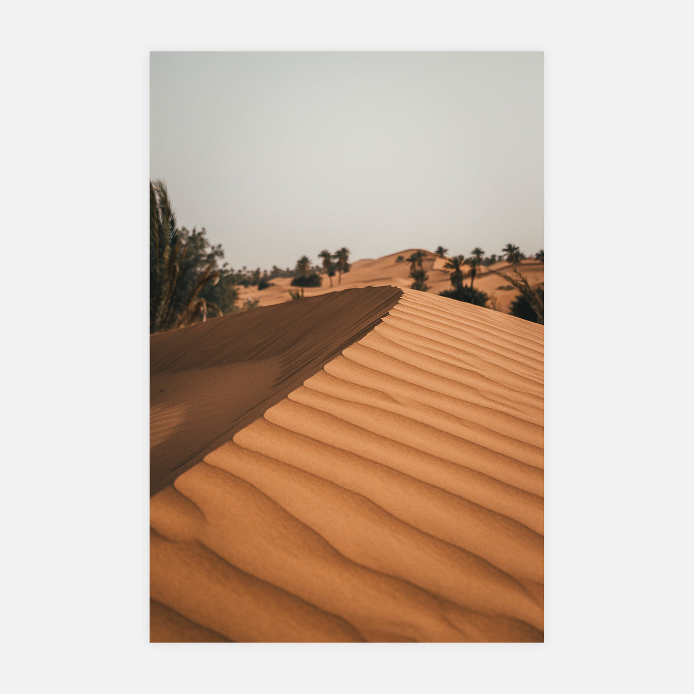 Dune