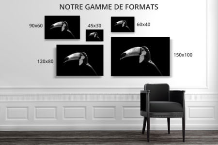 cadre photo toucan deco formats